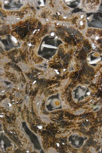 NOTalchemistPukeDetail